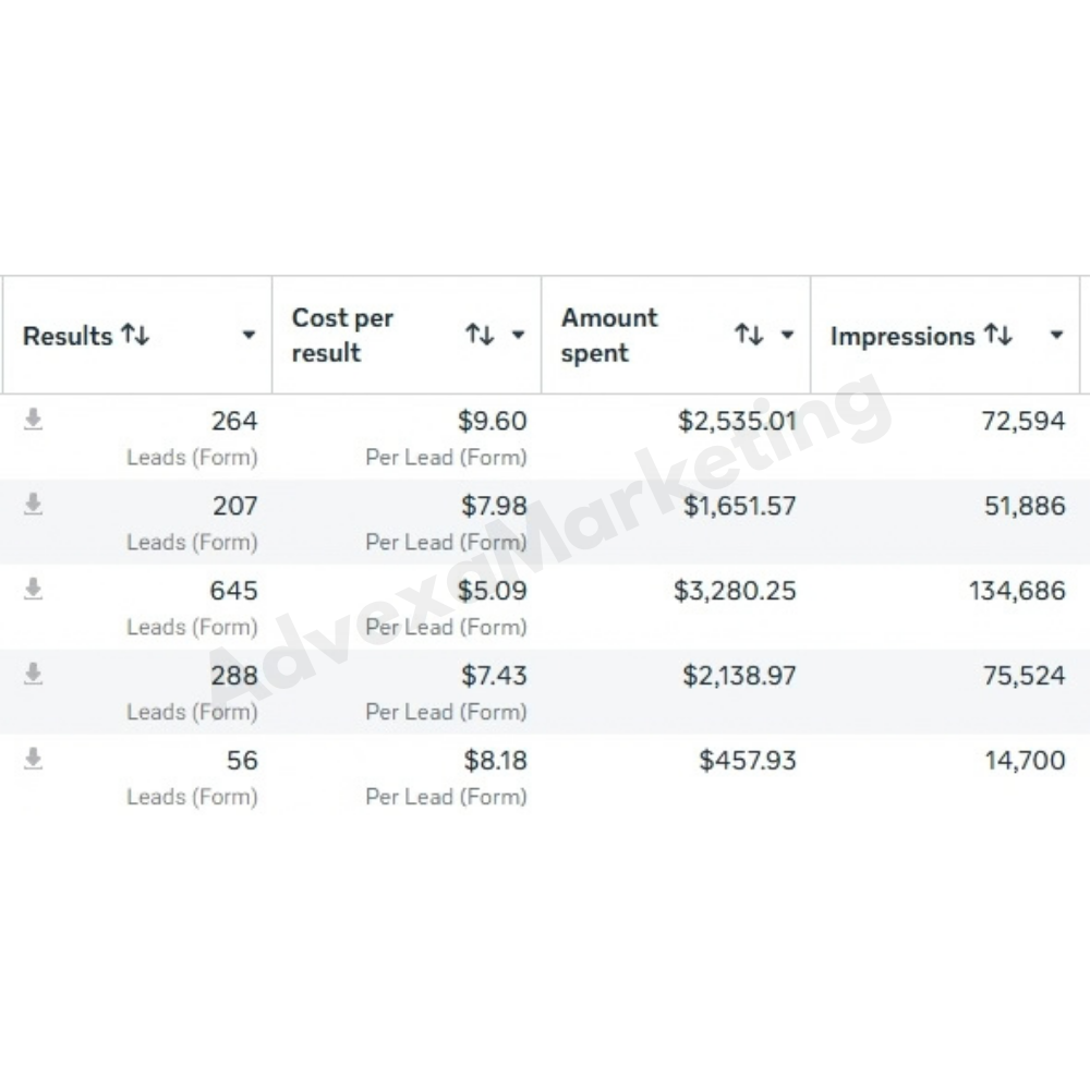 Ads Manager campaign results showing leads, cost per result, and amount spent
